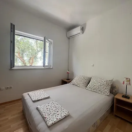 Paulina * تروغير