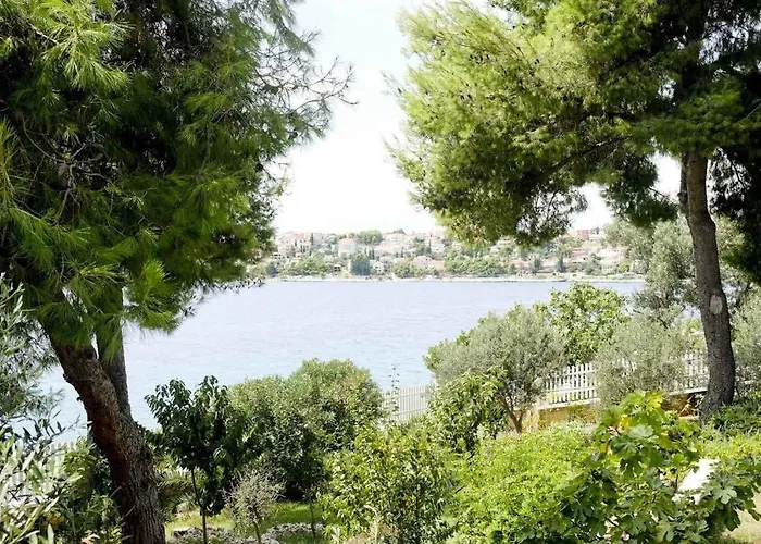 Paulina * Trogir